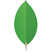 mongodb可视化工具 v1.6.9 中文版