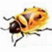 firebug中文版