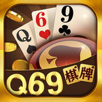 Q69电玩游戏平台