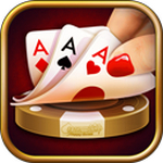 网胡棋牌绿色版