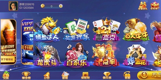 乐晟游戏厅99020正规版