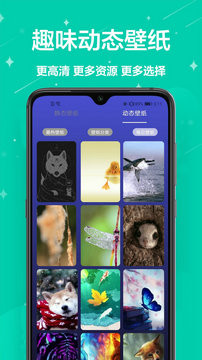 主题君app官方版