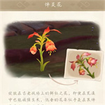 原神悼灵花多久刷新一次 刷新时间介绍