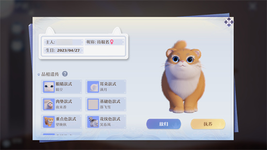 梦幻新诛仙怎么养猫 梦幻新诛仙猫要怎么获得