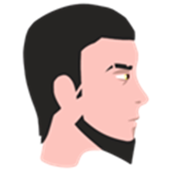 人偶沙盒模拟器最新版中文版