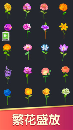 插花达人2