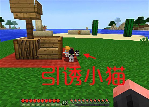 我的世界猫窝怎么做 我的世界猫窝怎么建简单好看
