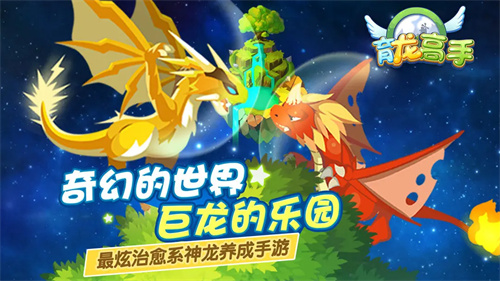 育龙高手5