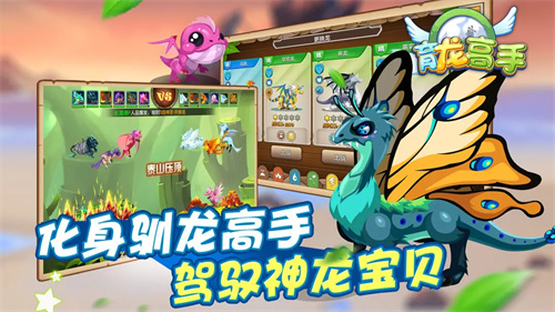育龙高手1