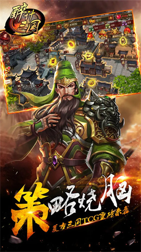醉计三国5