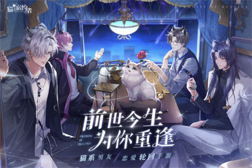 猫之宿约者1
