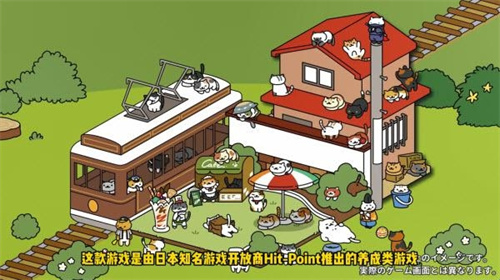 猫咪后院21