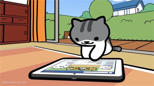 猫咪后院22