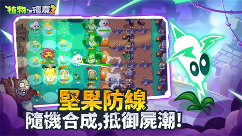 植物大战僵尸31