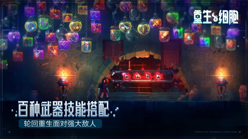重生细胞5