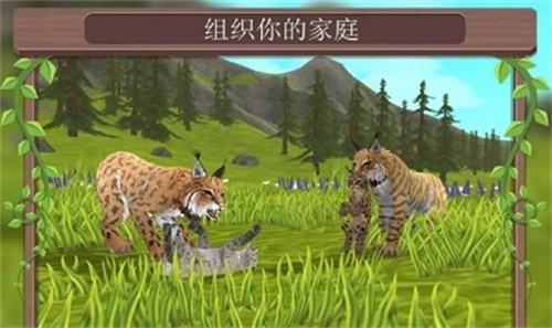 野生动物争霸4
