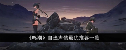 鸣潮公测自选声骸选什么好 鸣潮公测自选声骸选择建议