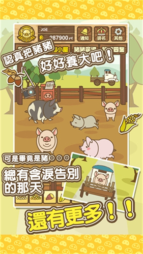 养猪场MIX3