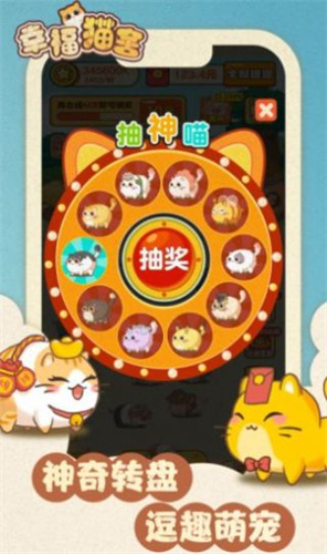 幸福猫舍2