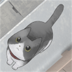 迷途猫 v1.1