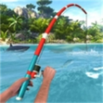 天天钓鱼  v1.1 2025最新版
