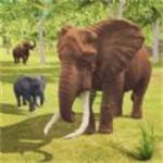 植物进化战官方正版