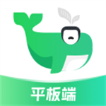 小绿鲸