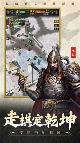 三国志战棋天下5