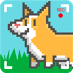 像素博主模拟器