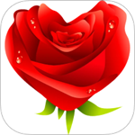 玫瑰视频播放器