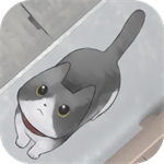 迷路猫咪的故事无删减完整版