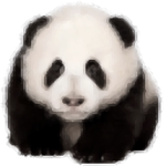 熊猫精灵脚本助手