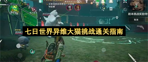 七日世界异维大猫挑战通关指南