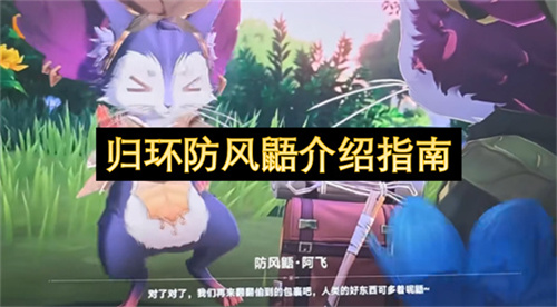 归环防风鼯介绍指南