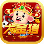 大金猪棋盘官网手机版