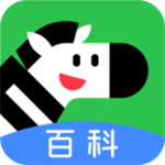斑马百科无限版